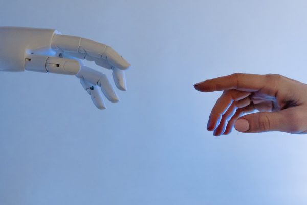Tesla human robot