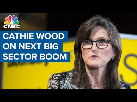 Arc Invest’s Cathie Wood: Digital Wallets & Genomics Are The Next Big Sector Boom