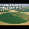 How Saudi Arabia Is Turning Desert into Huge Farmlands
