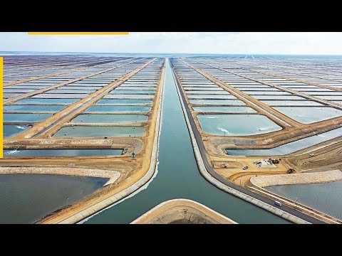 How this mega-project will make Egypt the continent’s largest fish producer