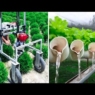 INGENIOUS AGRICULTURAL IDEAS AND INVENTIONS FOR MAXIMUM PRODUCTIVITY