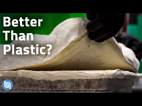 Is Mycelium Fungus the Plastic of the Future
