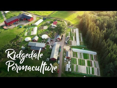 Swedish farm grossing $275,000+ EVERY SIX MONTH SEASON