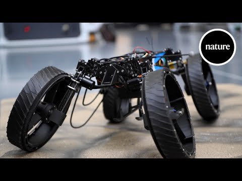 The bio-inspired ‘transformer’ that crawls, rolls and flies!