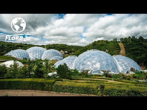 They Built a Rainforest Ecosystem inside a Geodesic Dome