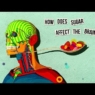 How sugar affects the brain – Nicole Avena