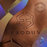 Exodus Movement: The Self-Custody Trade Gets a Public-Market Seat -( $BTC $EXOD )